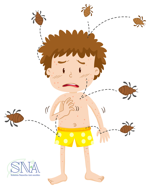 Comment réaliser la désinfection de punaise de lit